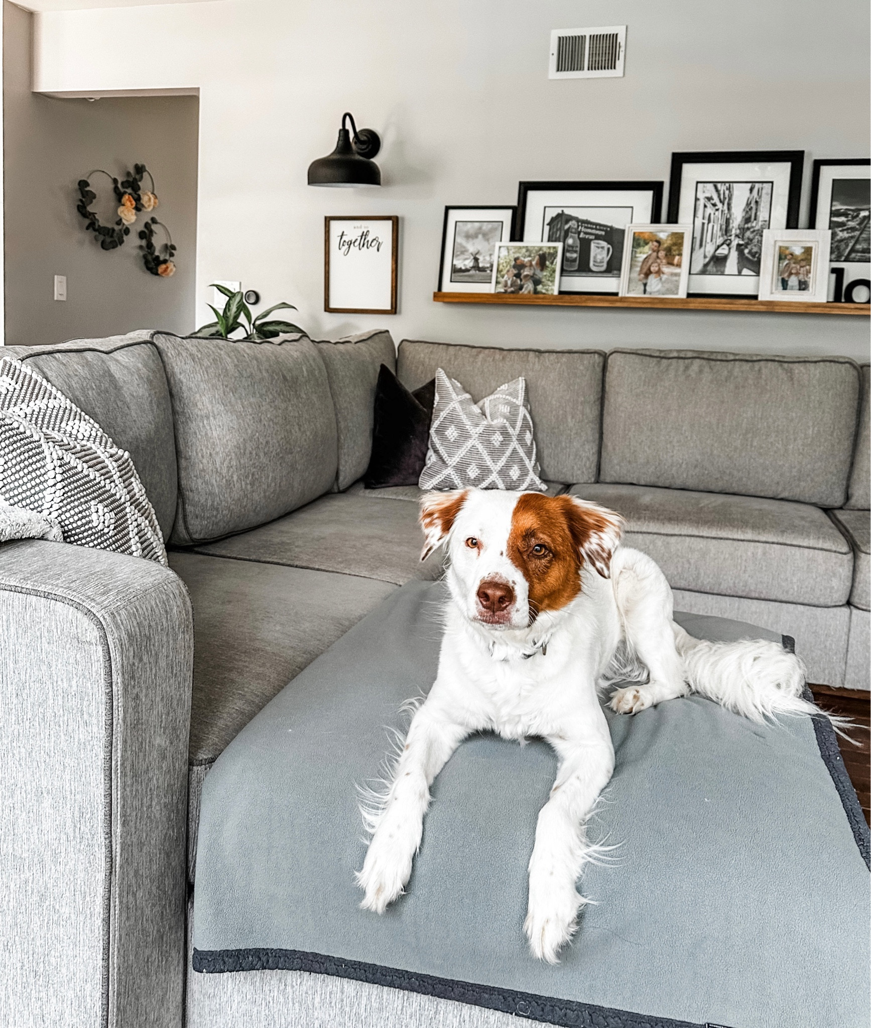 Living her best life 🐶 
Is your pet an emoji?

I love that our Lovesac has washable covers, but this blanket is also a savior. This is Koko’s spot. Always. We’ve had these for 3 years, and they’re still in great condition, but…there are some super cute new designs. 🤔 “Must not add to cart. Must not add to cart. Must not add…"

#ltkpets #petlife #petsathome #itsadogslife #dogsathome #lovesac #livingroom #livingroomdecor 

#LTKstyletip #LTKhome #LTKfamily