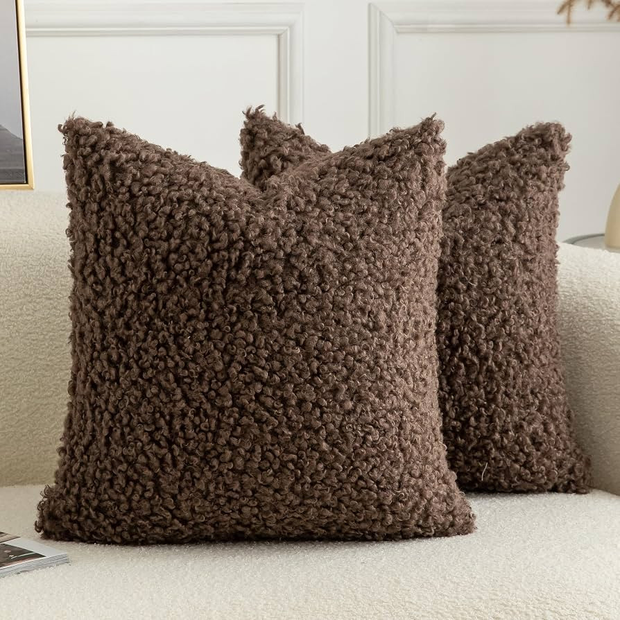 Pack of 2 Curly Teddy Wool Faux Fur Throw Pillow Covers Fuzzy Accent Soft Sherpa Pillowcases Shee... | Amazon (US)