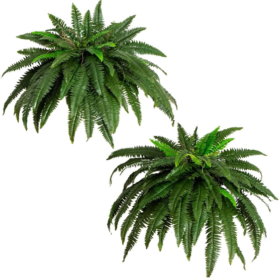 Nearly Natural 48-in Artificial Boston Fern, Set of 2, Large Hanging Fake Plant Wall Decor with 6... | Amazon (US)