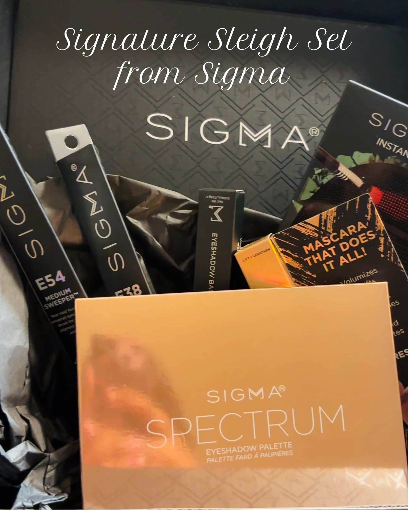 Signature Sleigh Set from Sigma Beauty ✨

#LTKGiftGuide #LTKBeauty #LTKselfcare