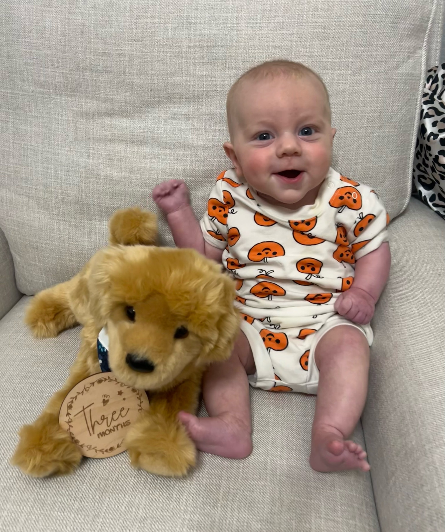 Halloween bloomer set 

Baby boy fashion
Halloween baby outfits 

#LTKBaby #LTKHalloween #LTKSeasonal