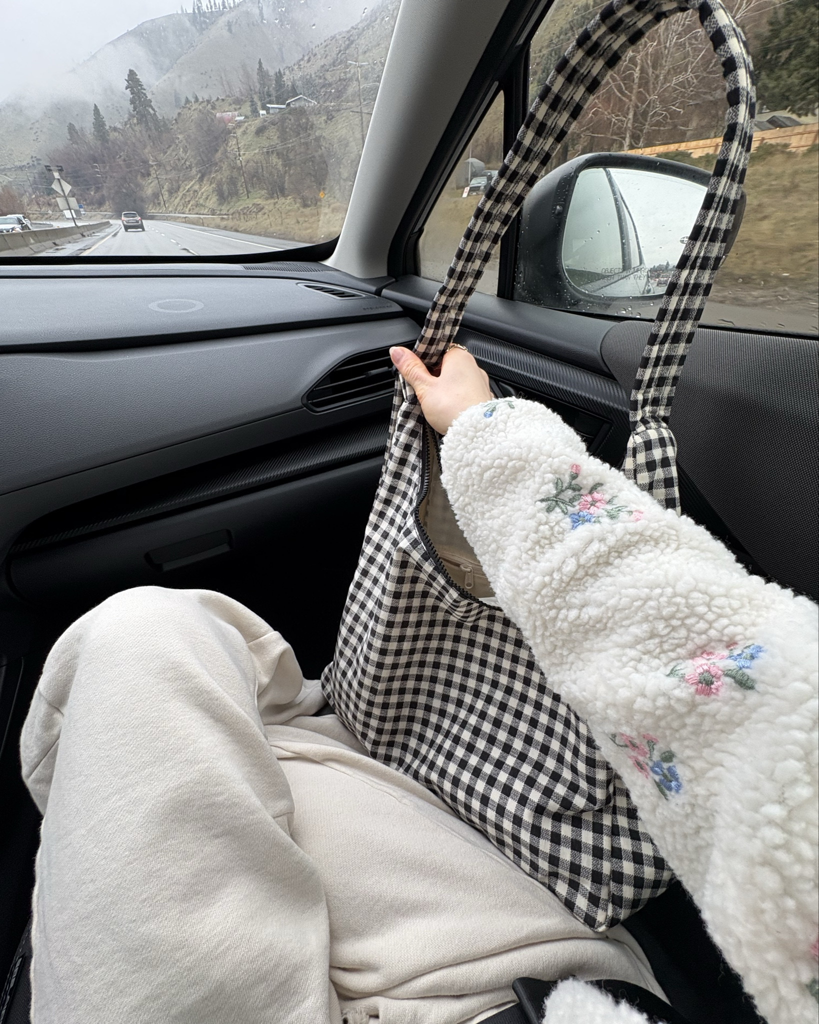 The CUTEST gingham purse / bag I’ve ever seen. It holds SO much! Baggu is seriously my essential bag. 

#LTKGiftGuide #LTKTravel #LTKU