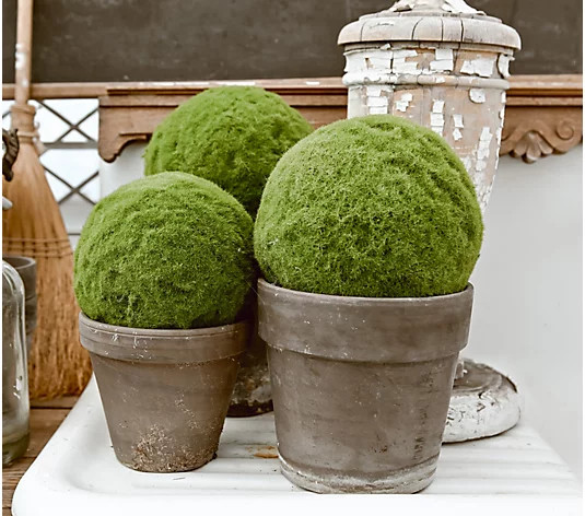 Cozy Cottage by Liz Marie Set of 4 Faux Moss Spheres - QVC.com | QVC