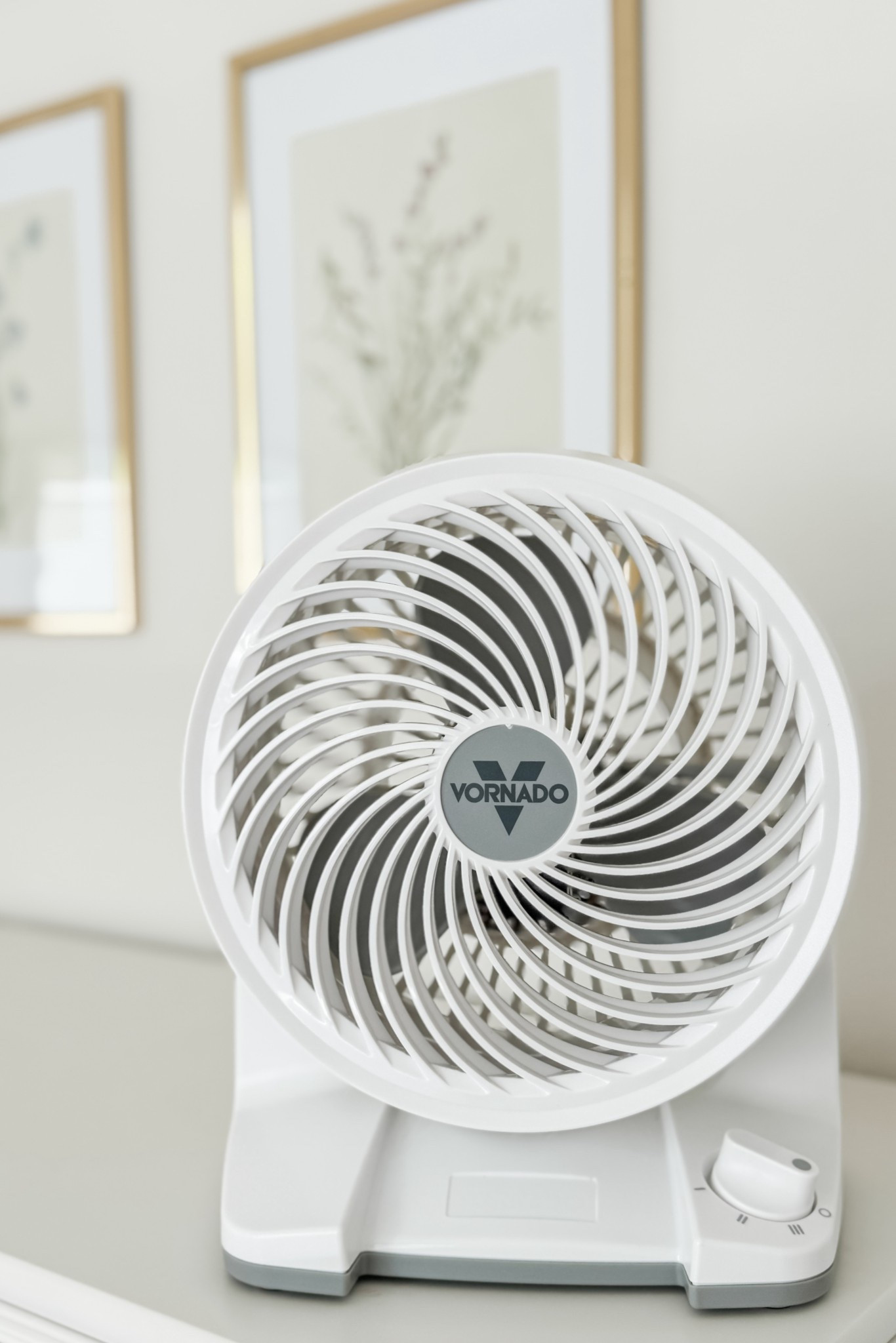 We got these little fans / air circulators for the girls’ rooms this summer and we are loving them so far. They have three modes and are fairly quiet (to be fair, they’re really only running when the girls go to bed so we also have their sound machines on). 

#LTKSummerEdit