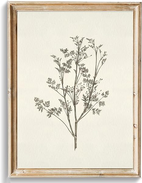 uniro Vintage Botanical Wall Art Prints, Neutral Floral Canvas Art Prints Painting, Rustic Flower... | Amazon (US)