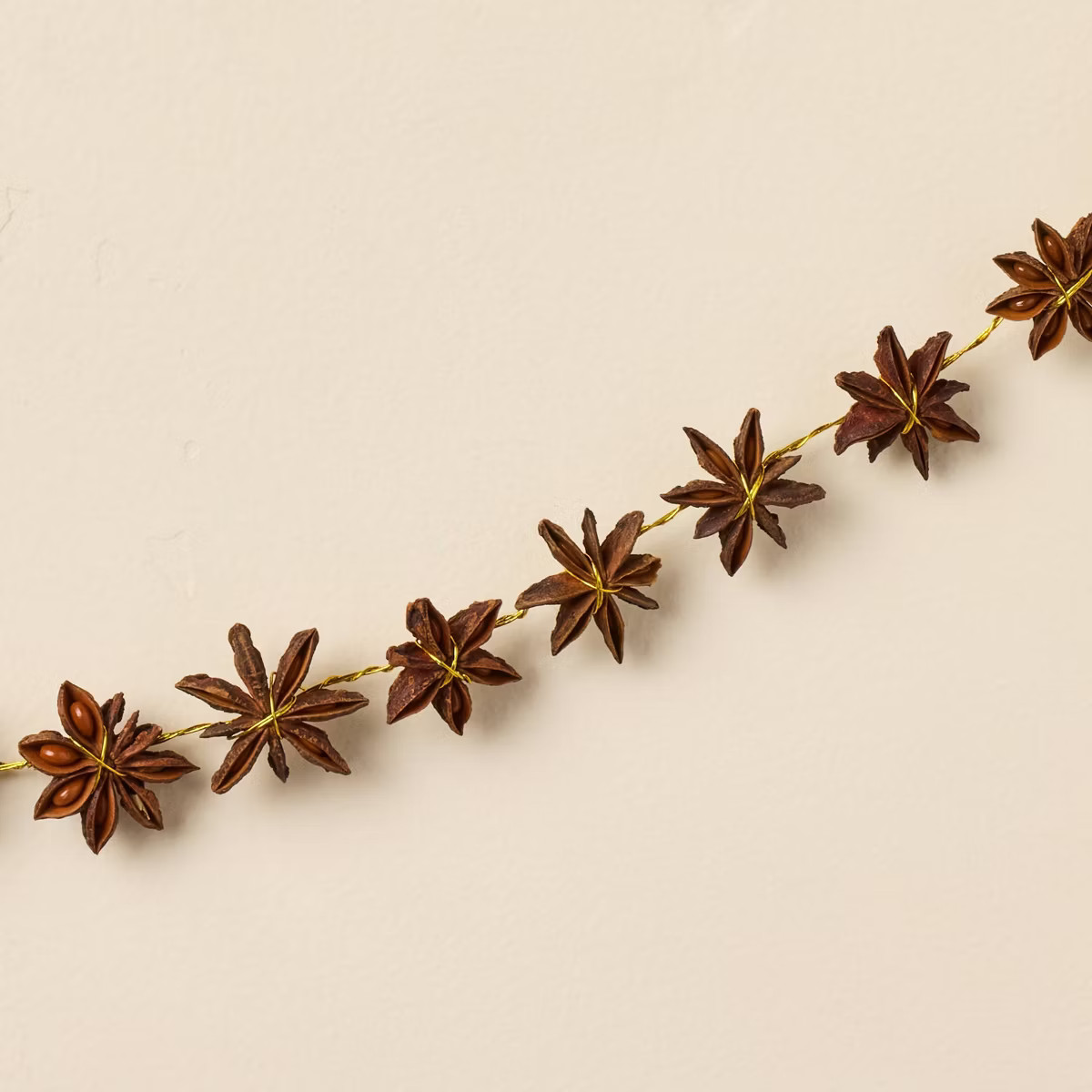 40" Star Anise Garland - Hearth & Hand\u2122 with Magnolia | Target