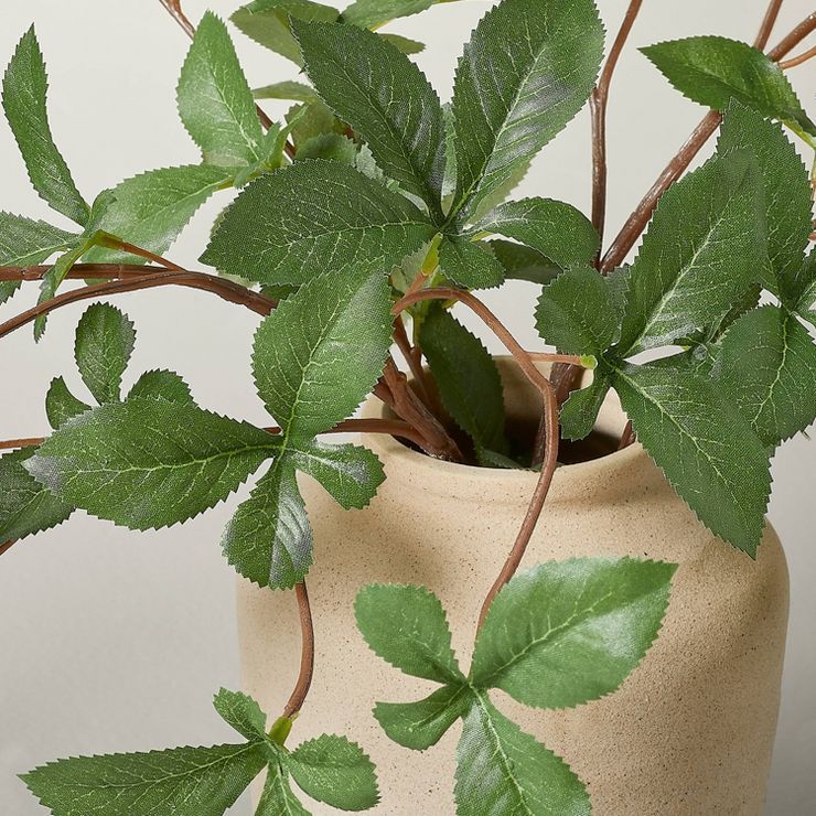 Faux Gypsophila Leaf Arrangement - Hearth & Hand™ with Magnolia | Target