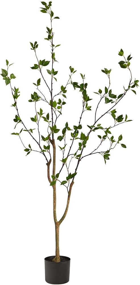 5' Minimalist Citrus Artificial Tree Black | Amazon (US)