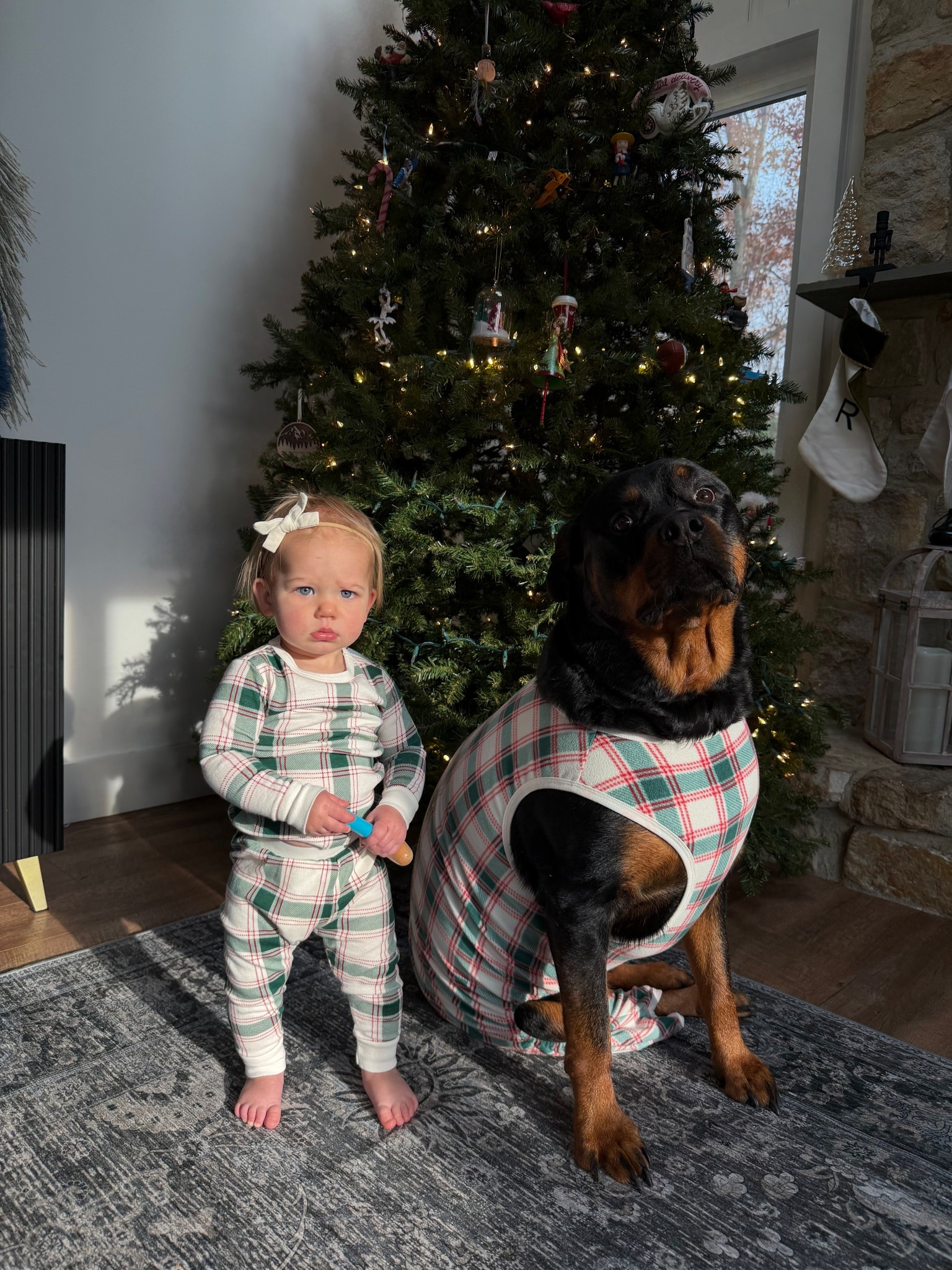 Matching toddler and dog Christmas PJs 