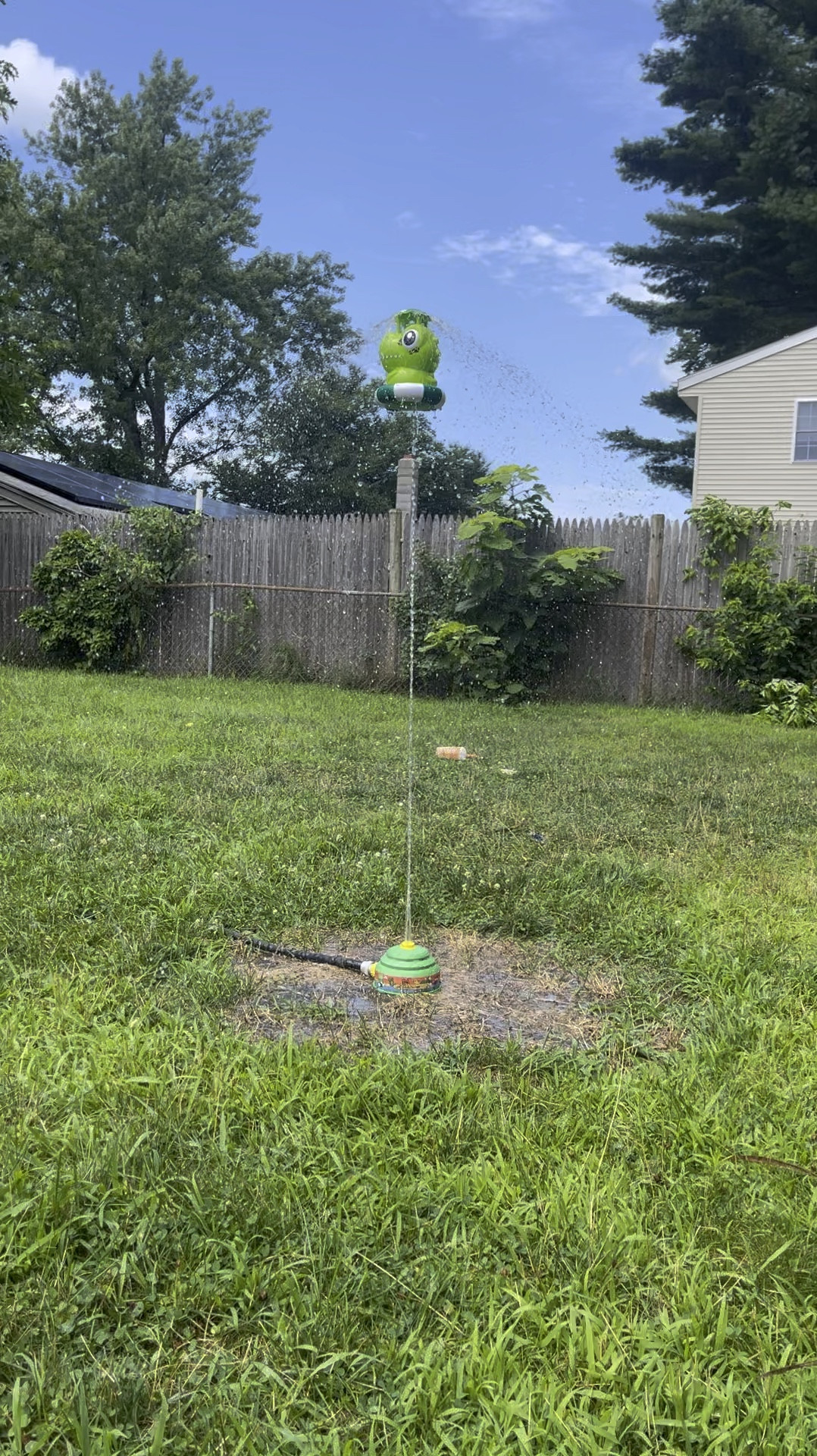 Amazon prime day water sprinkler, summer toys from Amazon, perfect sprinkler toy for toddlers and young kids, dinosaur sprinkler from Amazon 

#LTKSummerSales #LTKKids #LTKSaleAlert