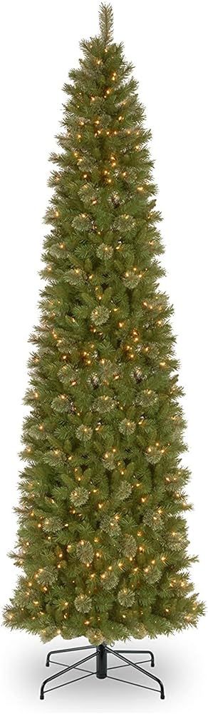 Amazon.com: National Tree Company Tacoma Pine 12 Foot Pre-lit Slim Artificial Christmas Holiday T... | Amazon (US)