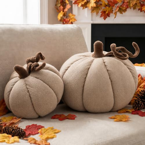 Ywlake Fall Pumpkin Pillows Set of 2, Halloween Decoration Pumpkin Throw Pillows Soft Cute 3D Shaped Cushion for Sofa Couch Bedroom Harvest Thanksgiving Autumn Decoration (Beige) | Amazon (US)