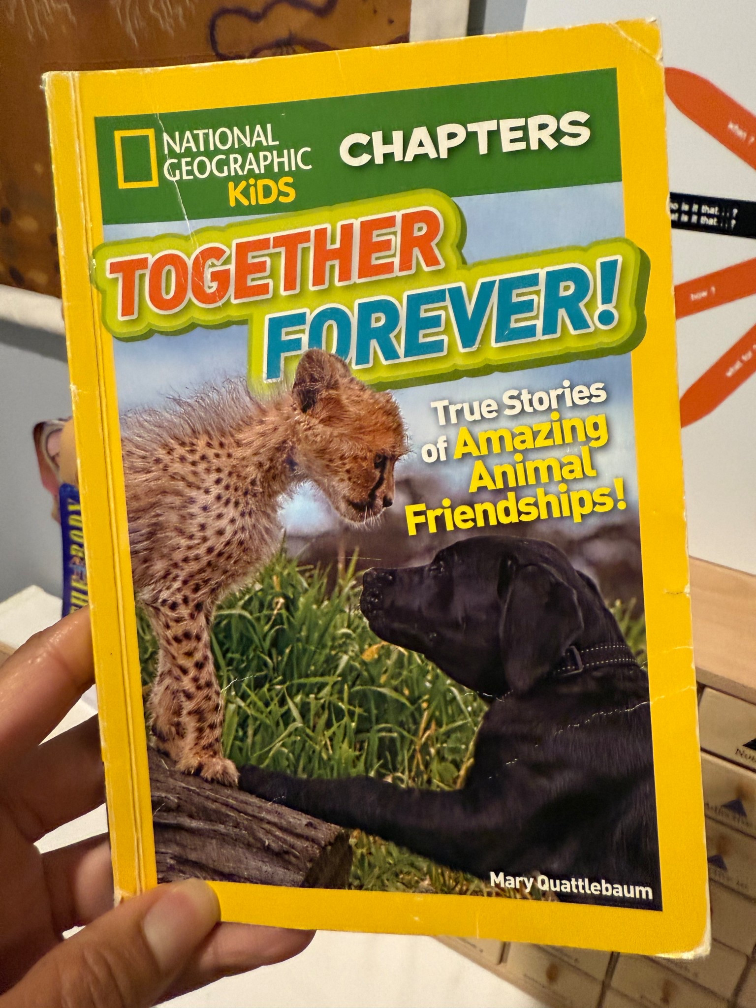My son also enjoys nonfiction chapter books and this one is a favorite! I accidentally omitted it from my last post  

#LTKKids #LTKFamily