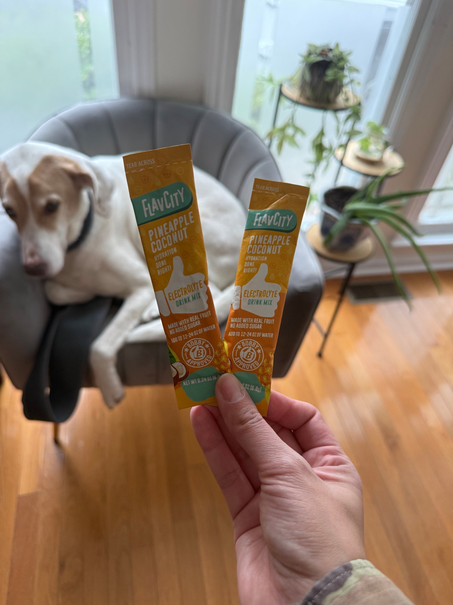 flavor city has the best products for protein and electrolytes. I love knowing that I’m putting clean ingredients into my body while using these supplements.

#LTKfitnessgoals