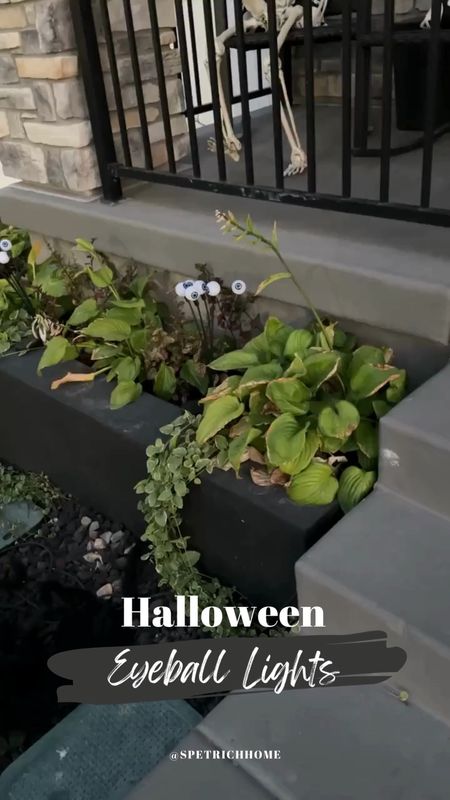 These outdoor solar lights look like eyeballs and are the CUTEST Halloween decor addition to our front yard planters boxes. They turn purple at night, and are currently on sale 👀

#lawn #outside #patio #backyard #LED

#LTKSeasonal #LTKHoliday #LTKHalloween