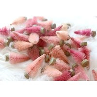 Set Of 3 in Pink Bottle Brush Trees Small Aprox. 2.5 Inch | Etsy (US)