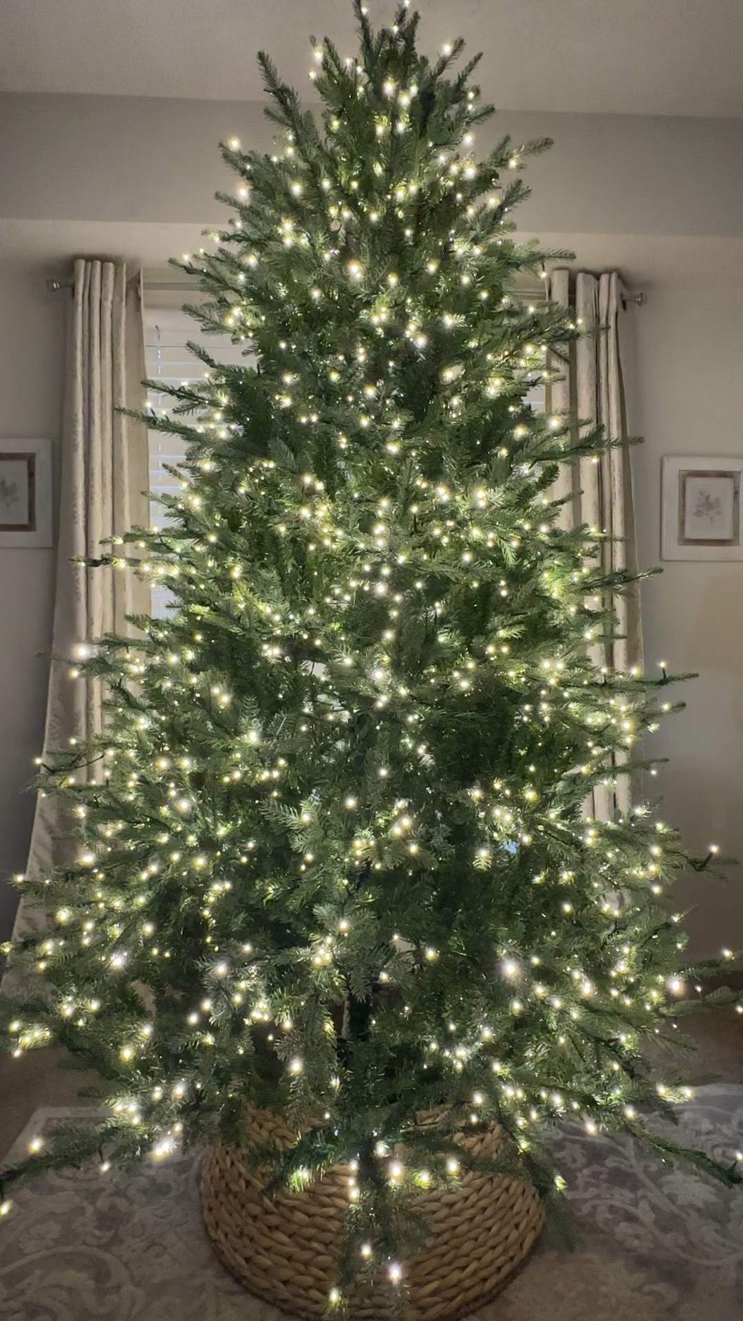 Had to share the viral Christmas tree before it sells out!!! This video does NOT even do it justice! It’s absolutely gorgeous and the twinkling lights make the tree look soooo magical! I got the 7.5ft  (but it also comes in 9 and 12 ft) and has over 2,250 LED lights with 6 different light options✨🎄 Love that it comes with a remote control, which makes it super easy to turn on/off every day as well (but it does have a timer) 



Grand duchess balsam fir led Christmas tree. Viral Christmas tree. Hope depot Christmas tree. Viral tree. Christmas. Holidays. Xmas tree. Twinkle lights. Twinkling lights. Christmas must haves. Seasonal finds. Must have.  Best seller. Home Depot. Walmart. Walmart finds. Amazon finds . Home decor. Home finds. 

#LTKSeasonal #LTKHolidaySale #LTKHoliday
