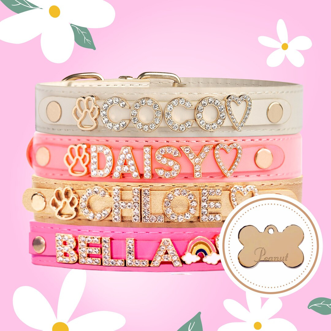 Custom Leather Dog Collar Female Dog Collar for Small Dogs Gold Plated, Bling Name and Charms Veg... | Etsy (US)