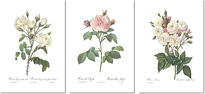 Ink Inc. Vintage Botanical Prints | Roses White Pink Wall Art | Floral Decor | Set of 3 8"x10" Un... | Amazon (CA)