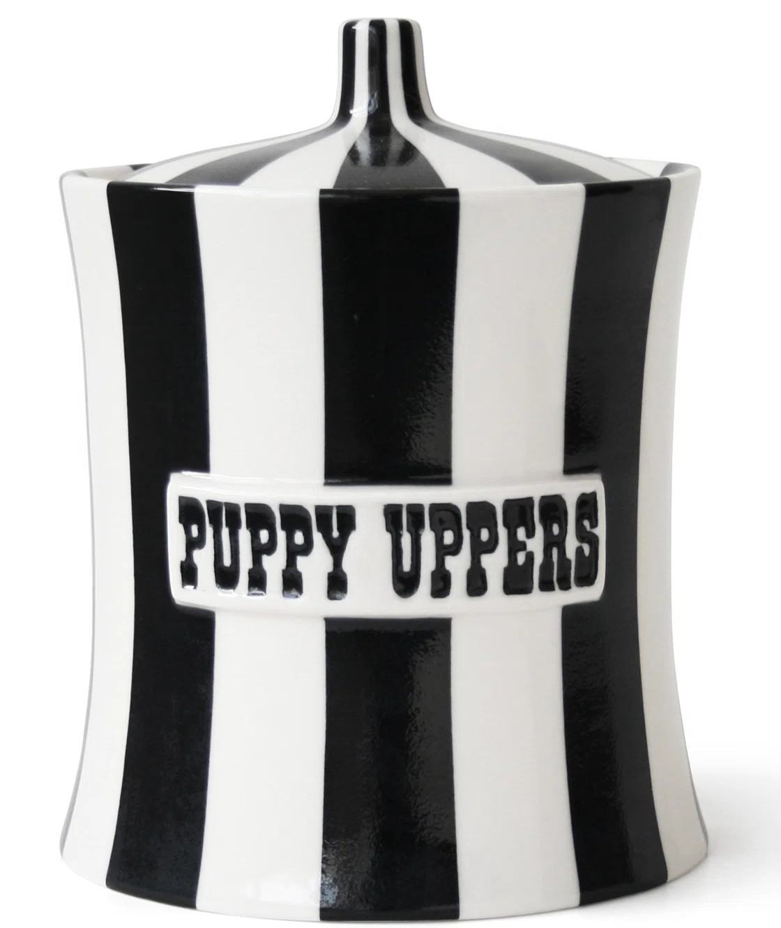Jonathan Adler Vice Puppy Uppers Canister "& Reviews" | Wayfair | Wayfair North America