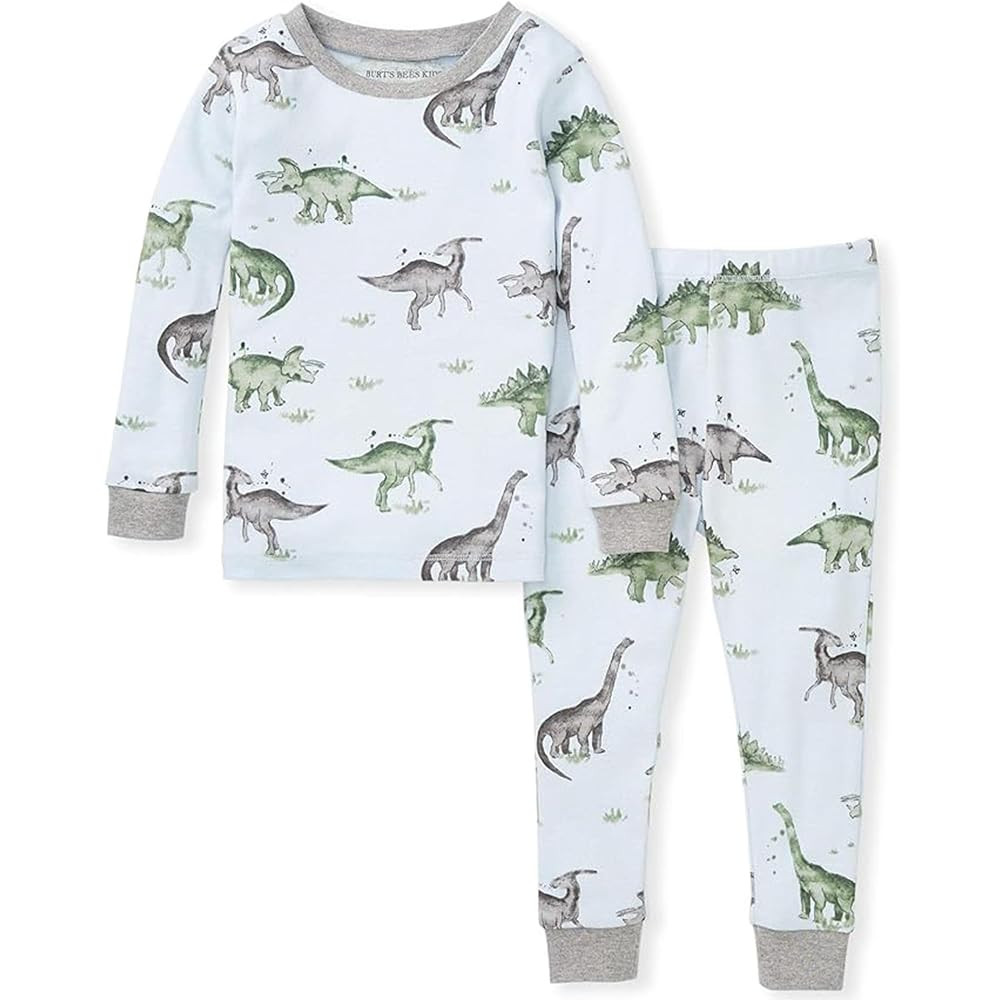 Burt's Bees Baby Boys' 2-Piece Long Sleeve Tee and Pants Organic Cotton Pajama Set | Amazon (US)
