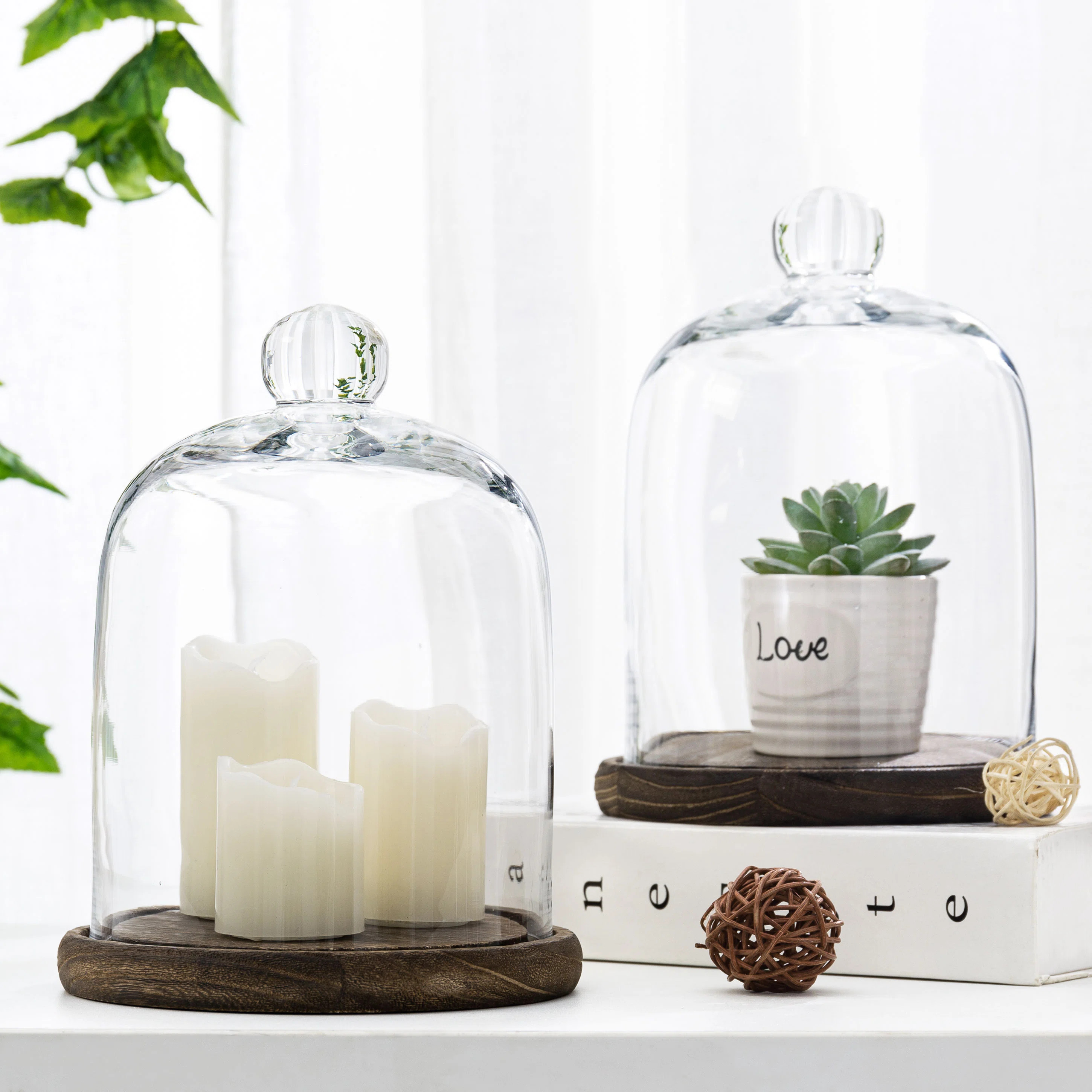 Khyanna Dome Cloche | Wayfair North America