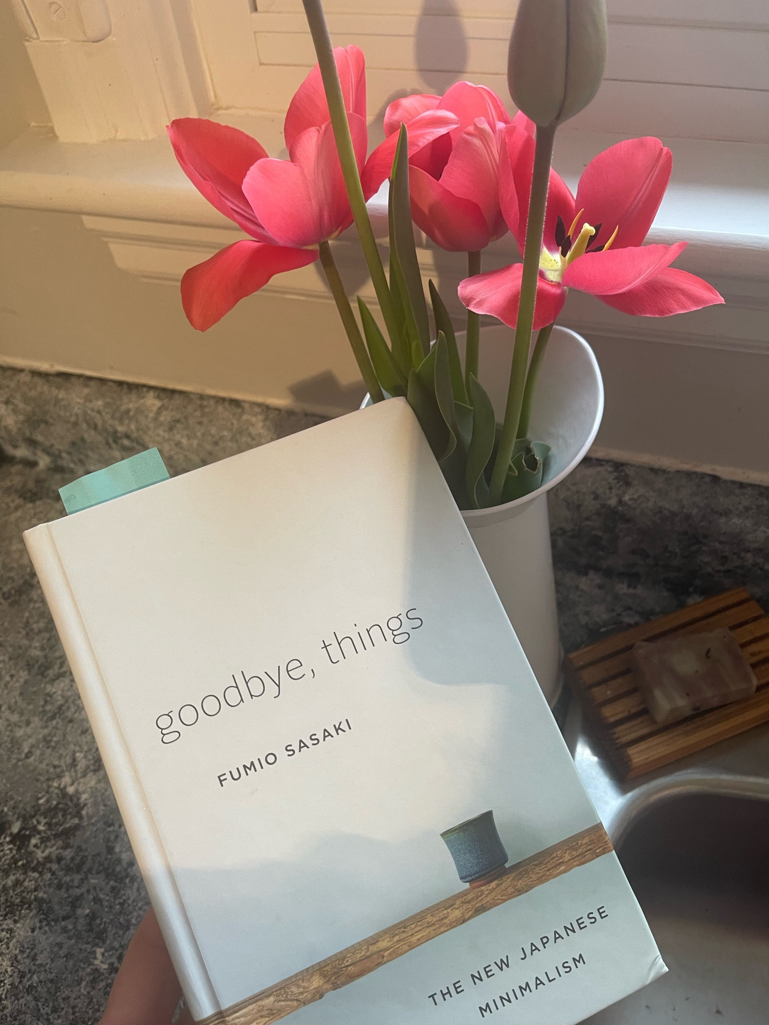 Goodbye Things! I’ve been LOVING this minimalist book & guide to become more minimal / live a simpler life. Perfect for anyone who wants to learn more about minimalism! It’s also has 55 tips for minimizing your home and tips for getting rid of your things 
