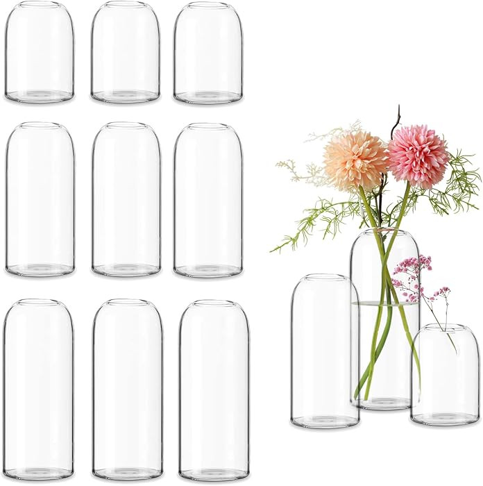 Glass Bud Vases in Bulk Set of 12, Clear Small Vases for Flowers,Modern Cylinder Glass Vase for W... | Amazon (US)