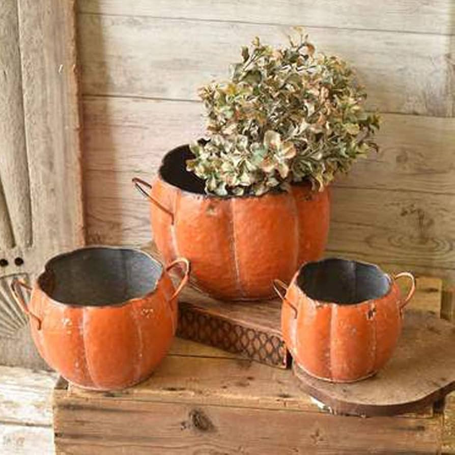 One Holiday Way Set of 3 Rustic Orange Metal Pumpkin Shaped Planters with Handles – Country Har... | Amazon (US)