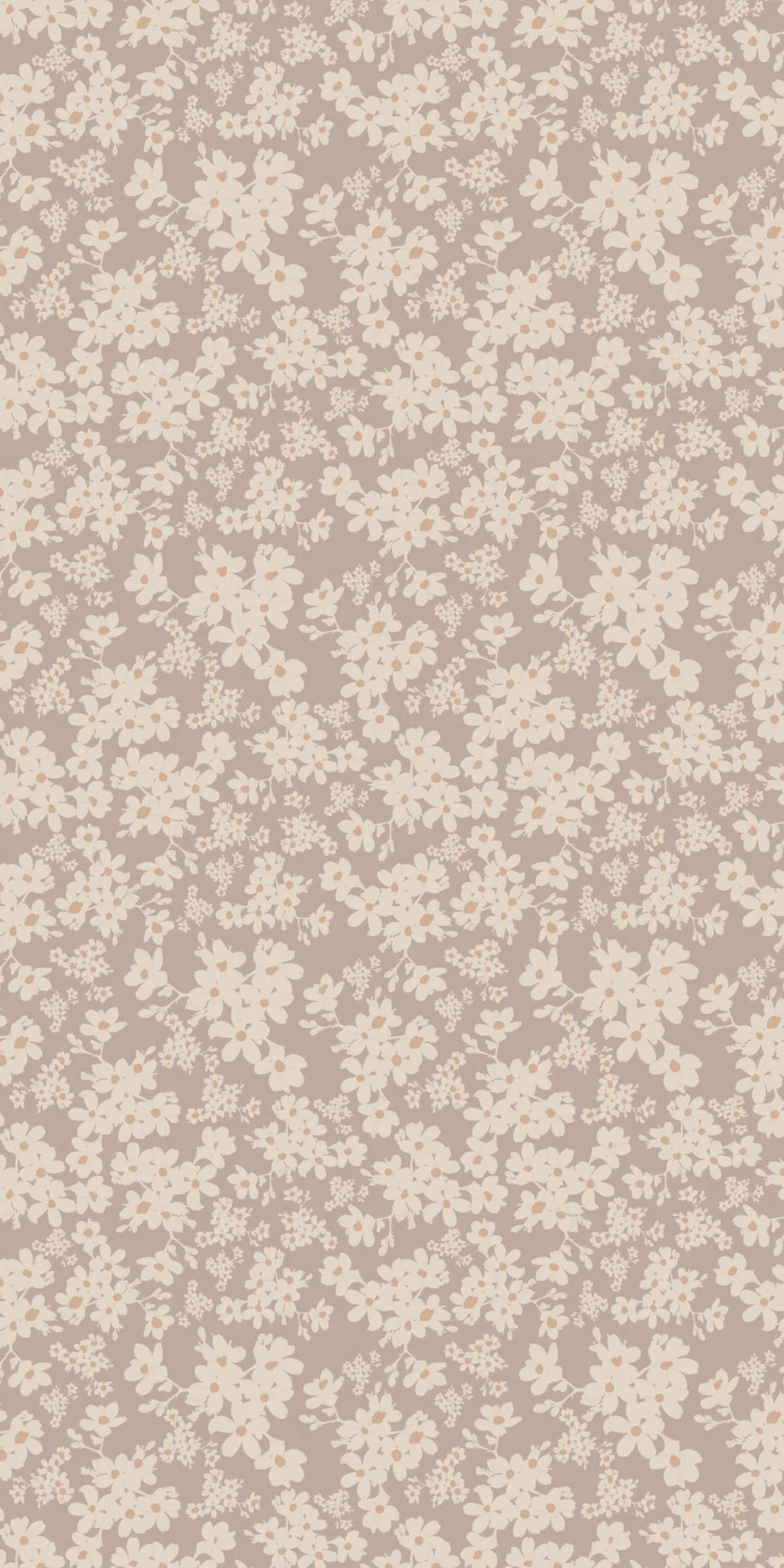 Poppy | Chasing Paper