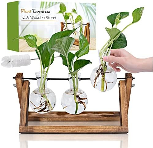 Firbon Plant Propagation Station, 3 Diamond Glass Planter Bulb Vase, Desktop Air Plant Terrarium wit | Amazon (US)