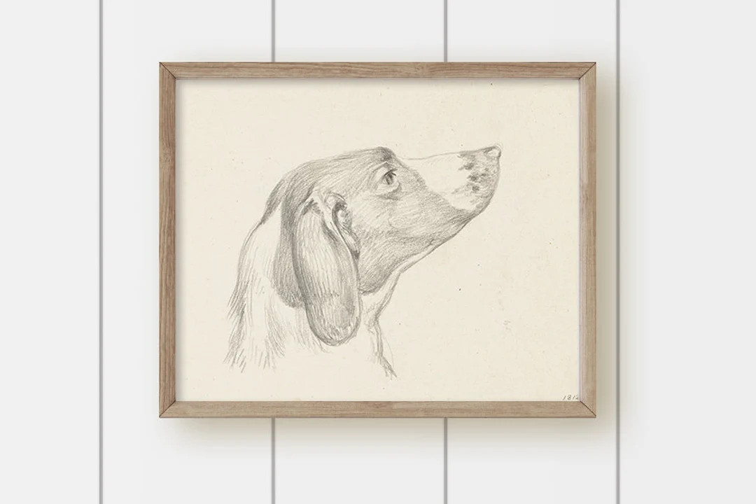 Vintage Neutral Dog Art - Dog Portrait Sketch | Etsy (US)