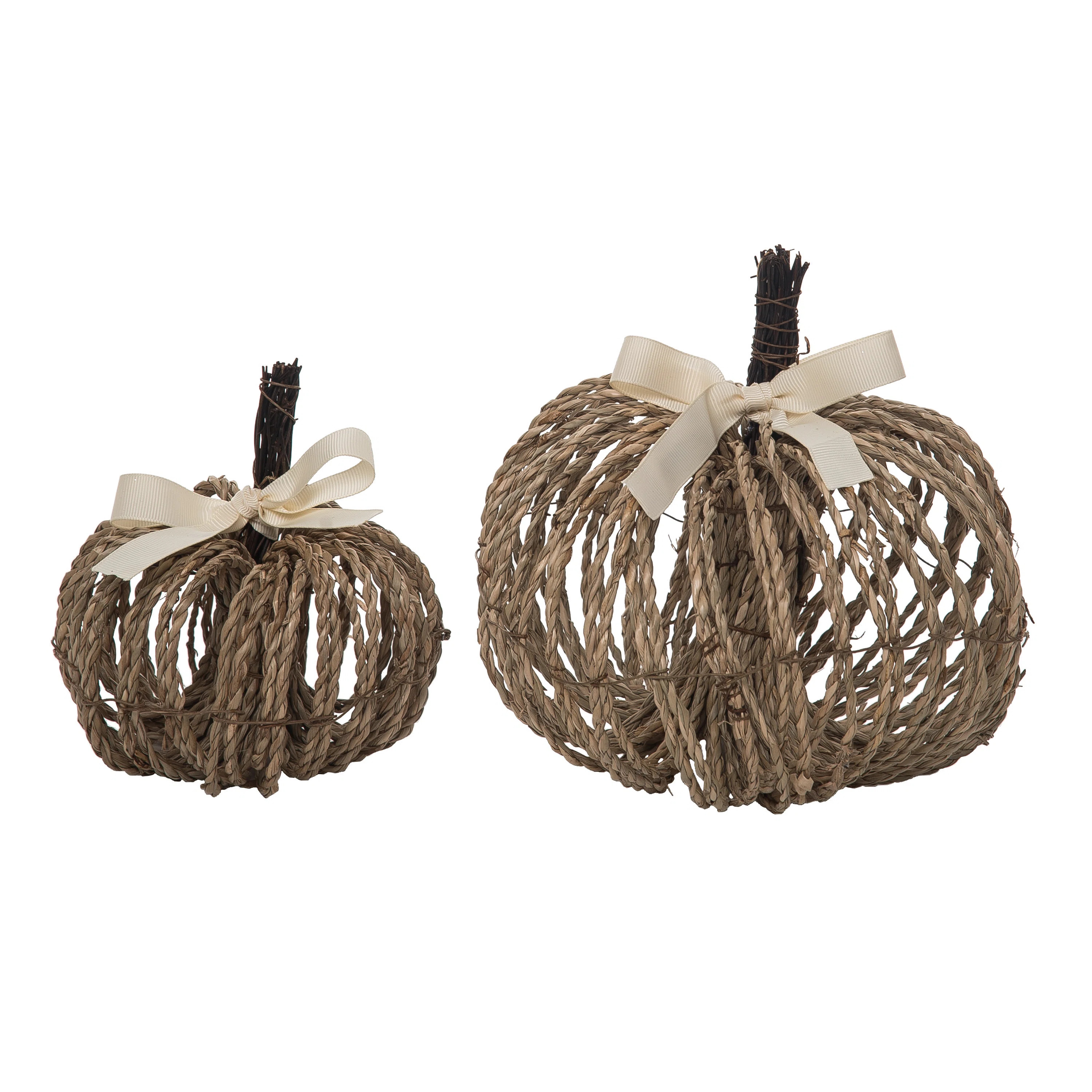 Natural Fiber 6.69 in. Brown Harvest Bundle Pumpkins Set of 2 | Wayfair North America