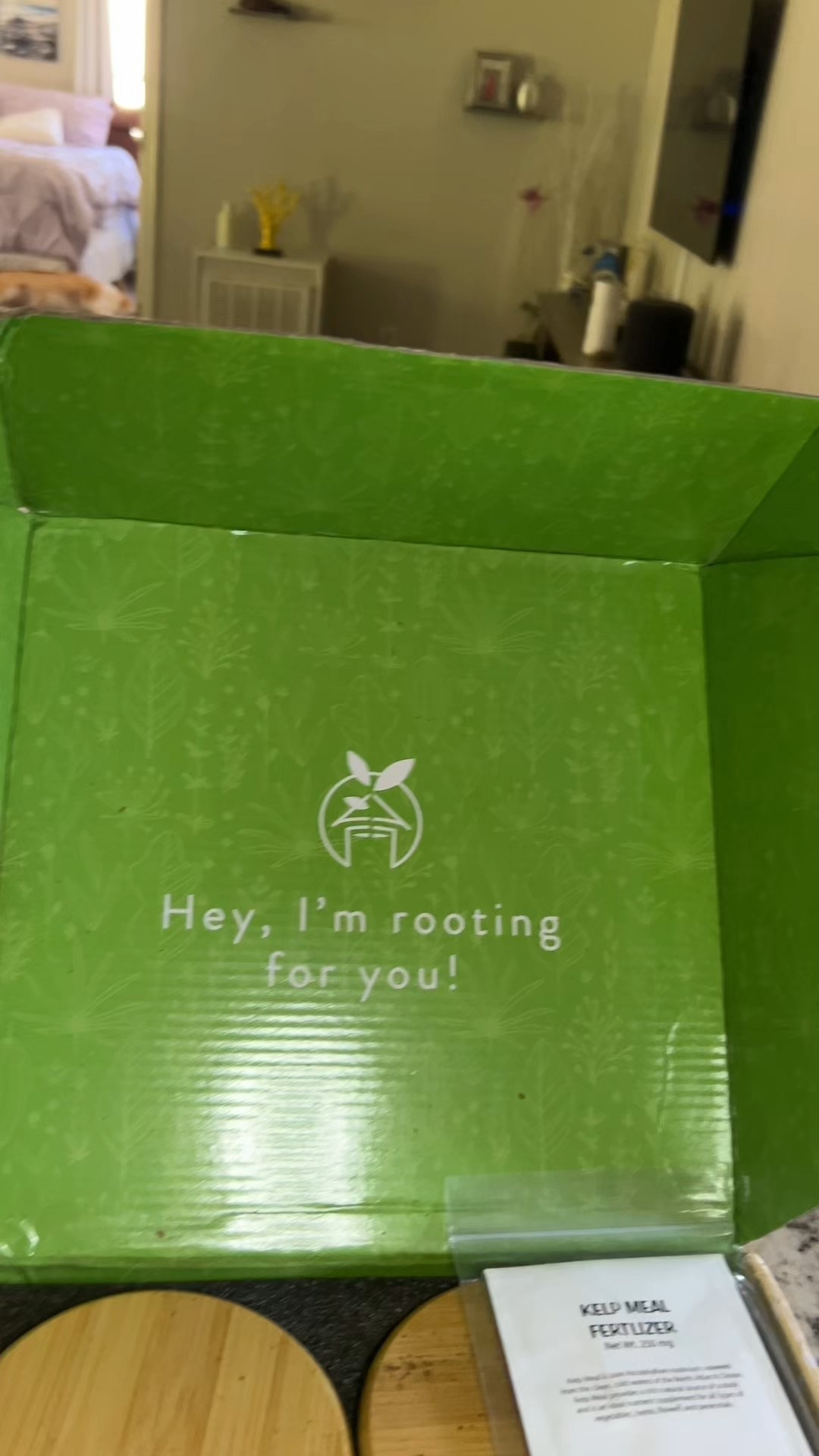 This is really nice set with high quality pots to grow your herbs in. Excited to see my herbs grow!

HOME GROWN Indoor Herb Garden Kit w/Glazed Ceramic Pot - Easy-to-Grow Kitchen Window Gardening Starter Set - Unique Housewarming Gift for Women, Mom, Gardeners, Friend, Her, Mother

#indoorgarden #herbgarden #gardentotable #growingherbs #greenthumb 

#LTKHome #LTKBump #LTKFindsUnder100