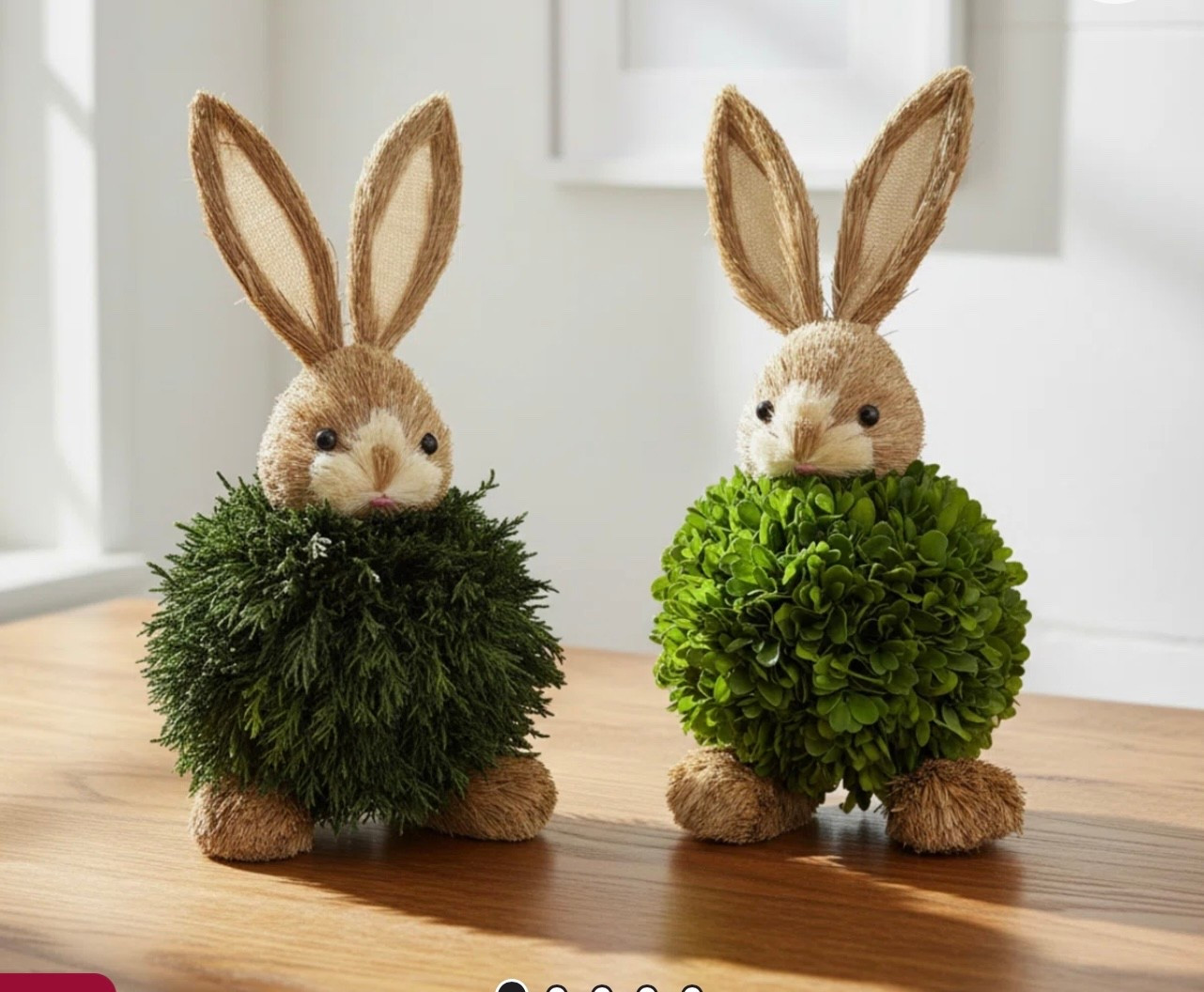 
Real Preserved Cypress & Boxwood Bunny
Rabbit Decor (Set of 2) for Easter & Spring

#LTKSpringSale #LTKFestival #LTKHome