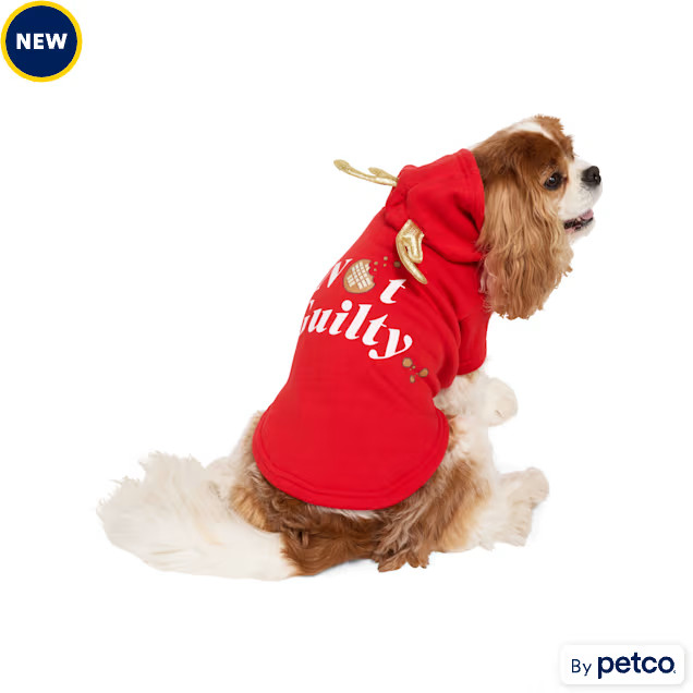Merry Makings Not Guilty Pet Hoodie, XX-Large | Petco