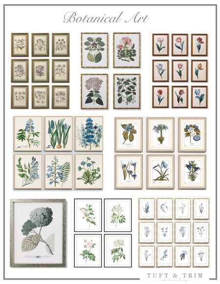 Today I’m rounding up some of my favorite botanical art- including the ones from my home! 🌸

#LTKhome #LTKstyletip