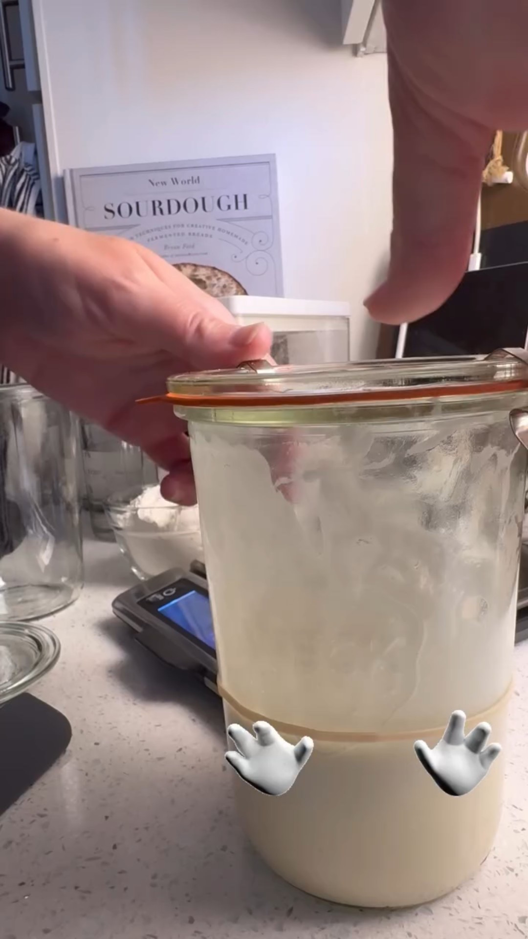 Day 6 with Herb — soft, bubbly, and slowly waking up.

After today’s feeding, I added a rubber band so I can track any rise. One of my followers suggested not sealing the jar airtight, so I’m just placing the lid on top today.

Feed for today:
• 100 g Herb
• 100 g flour
• 100 g warm water

Back to his warm spot he goes! 

Follow along as I continue making my very first sourdough starter.

#SourdoughStarter #NewWorldSourdough #MealAndGraceKitchen

#LTKHome #LTKvlog #LTKfoodie