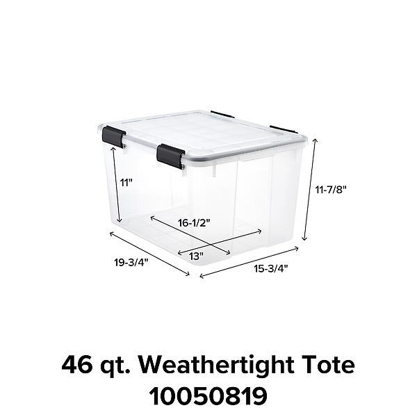 19 Qt. | The Container Store