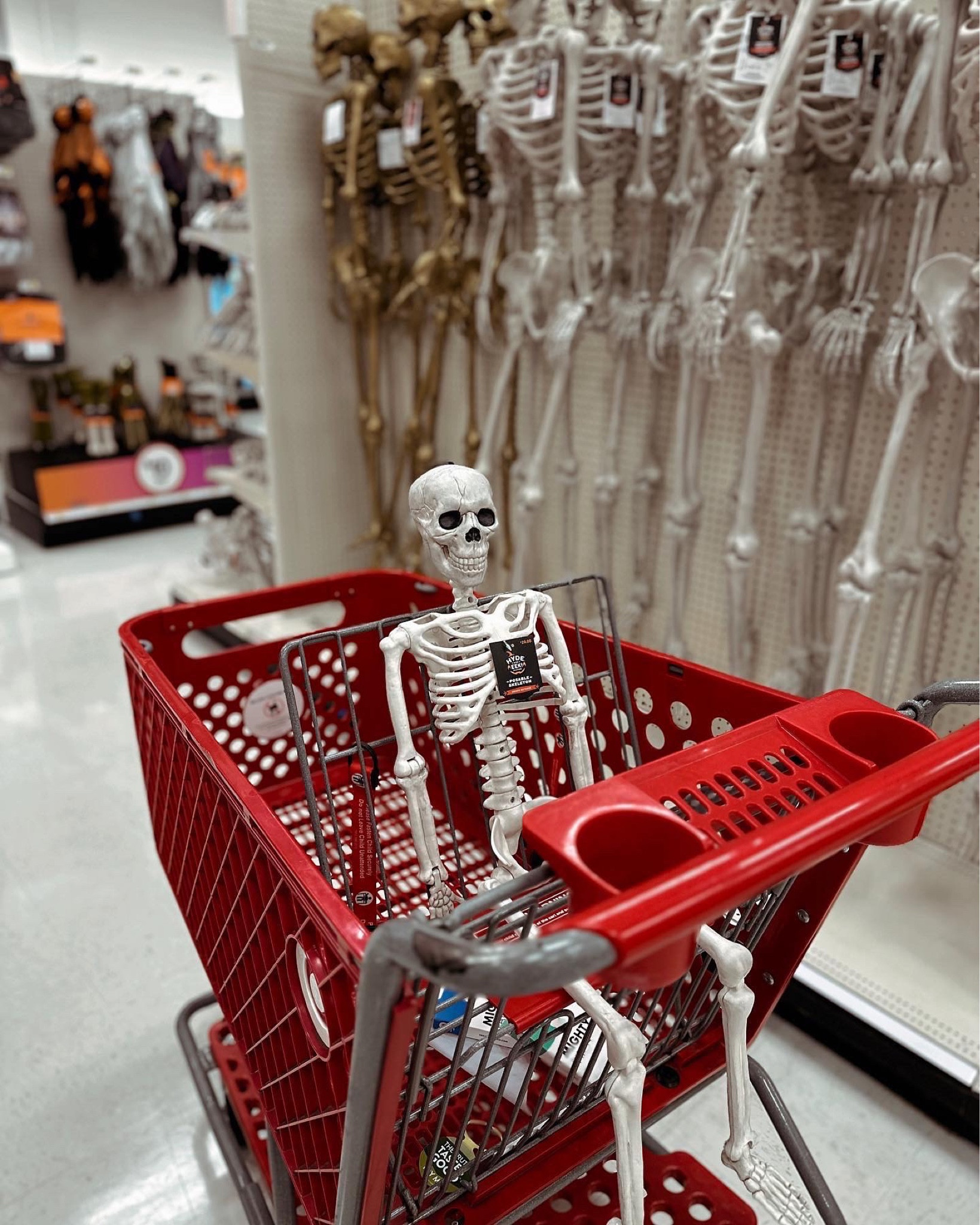 I needed a 36 inch skeleton for something im working on and people were looking at me like I was crazy walking around target with it like this hahahah 

LTK Halloween, target Halloween, Halloween decor 

#LTKHalloween #LTKhome #LTKSeasonal