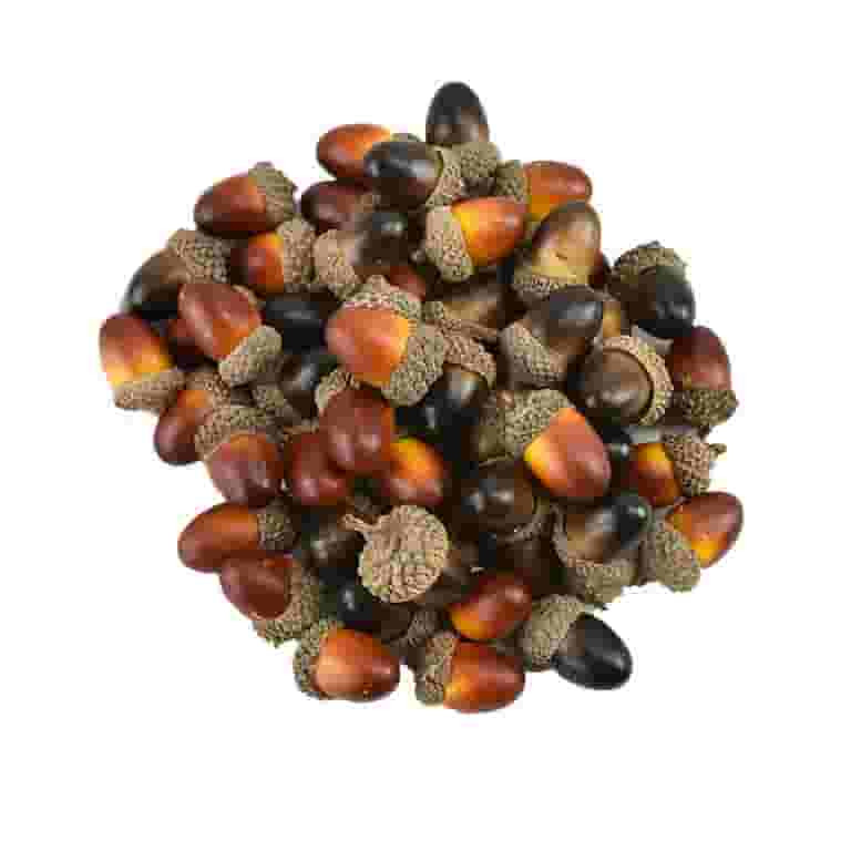 Artificial Acorns, Faux Acorns, 100PCS Fall Vase Filler Decorations for Thanksgiving Christmas We... | Walmart (US)