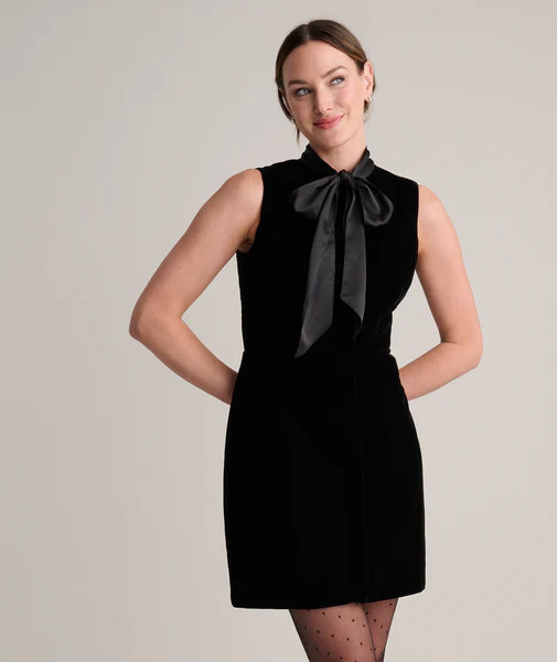 Velvet Fiona Mini Dress | UNTUCKit (US)