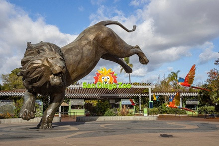 1-Day Pass for Adult or Child at San Diego Zoo | Groupon North America