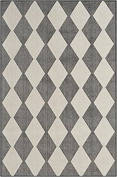 Nourison Positano Indoor/Outdoor Black 4' x 6' Area Rug, Easy Cleaning, Non Shedding, Bed Room, Living Room, Dining Room, Backyard, Deck, Patio (4x6) | Amazon (US)