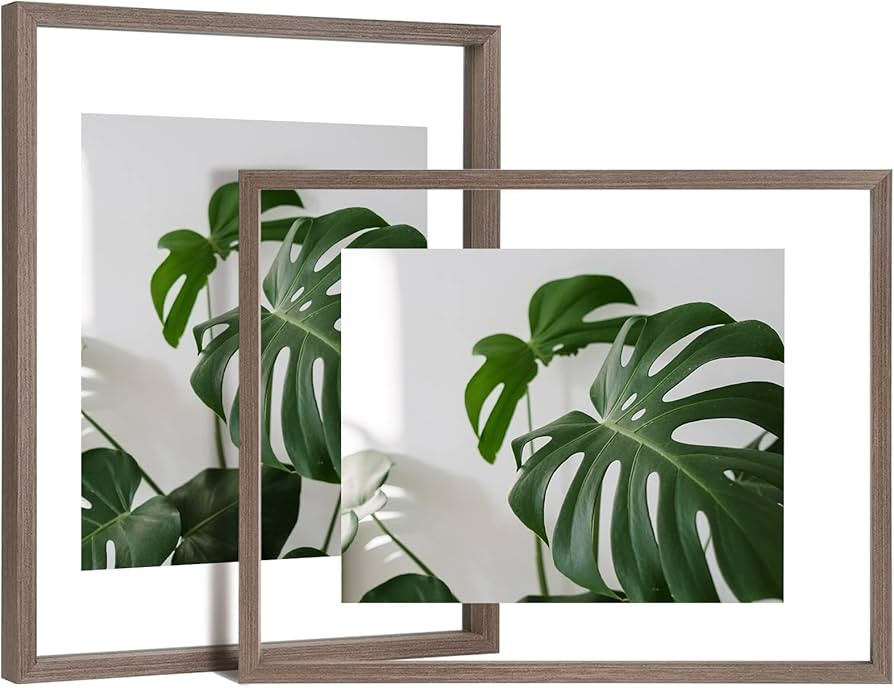 Egofine 11x14 Floating Frames Set of 2, Double Glass Picture Frame, Made of Solid Wood Display An... | Amazon (US)