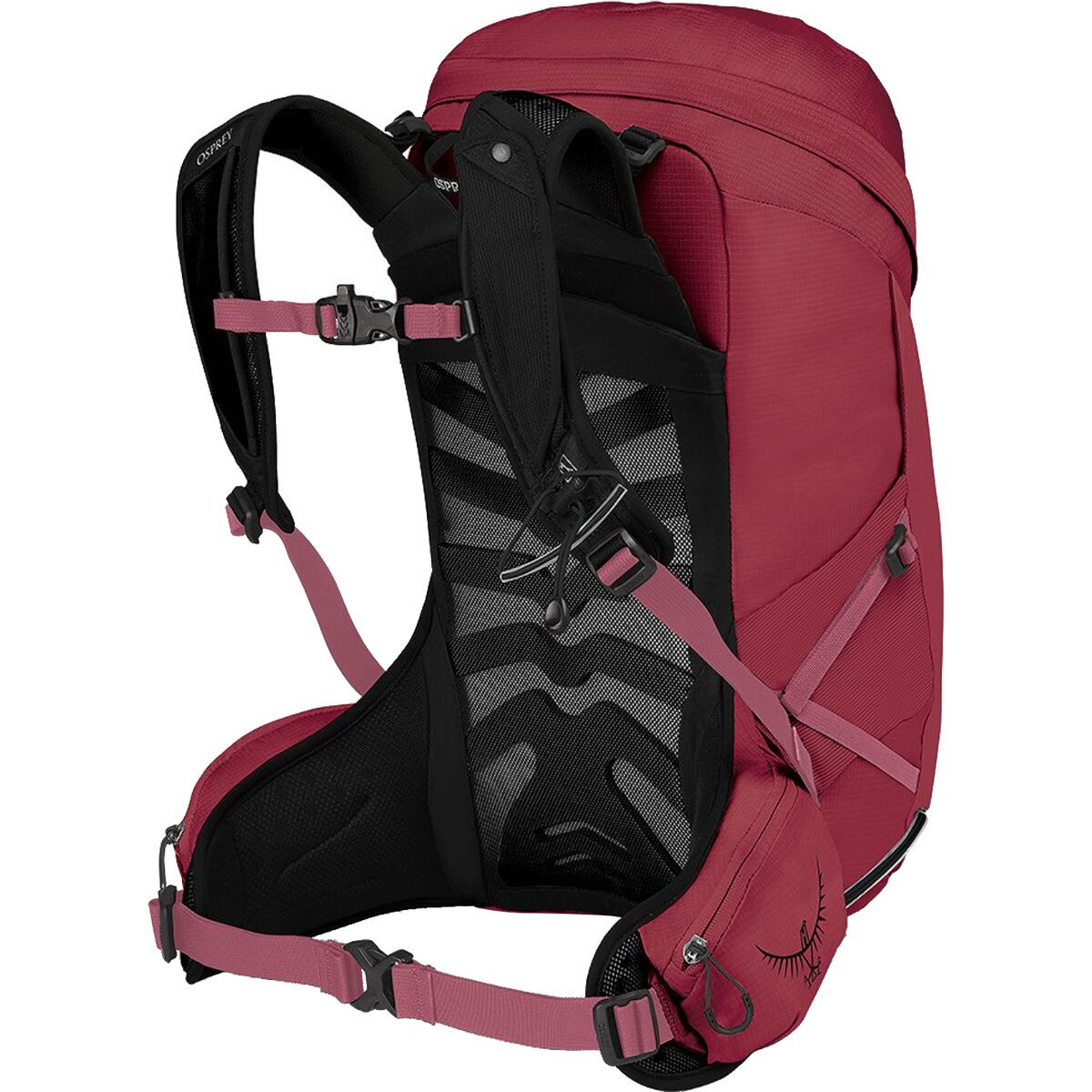 Osprey Packs Tempest 24L Backpack - Women's - Hike & Camp | Backcountry