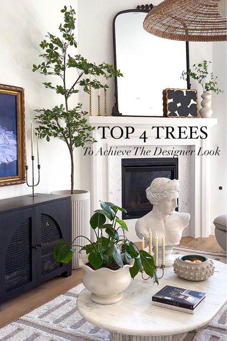 Top 4 faux trees to get the designer look!

#LTKhome #LTKsalealert #LTKfindsunder100