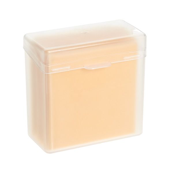 Sliced Cheese Stay Fresh Container | The Container Store