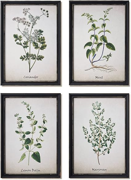 NELONY Herbs Kitchen Wall Art Prints Decor, Vintage Framed Botanical Art, 4 PCS 10"x14" Farmhouse... | Amazon (US)