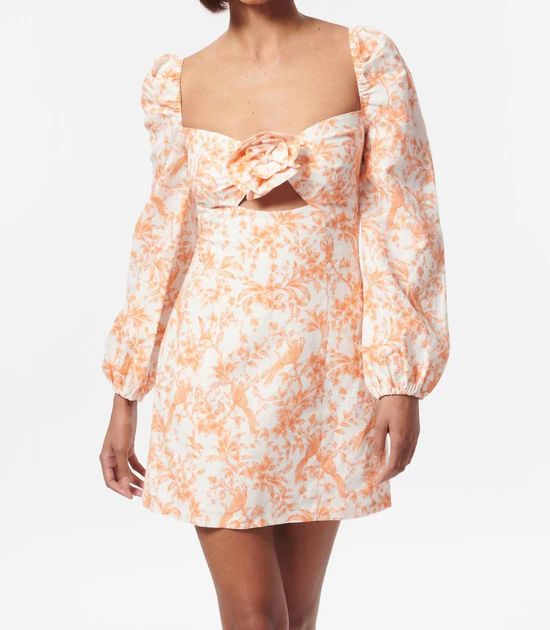 Swetha Dress In Papaya Toile | Shop Premium Outlets